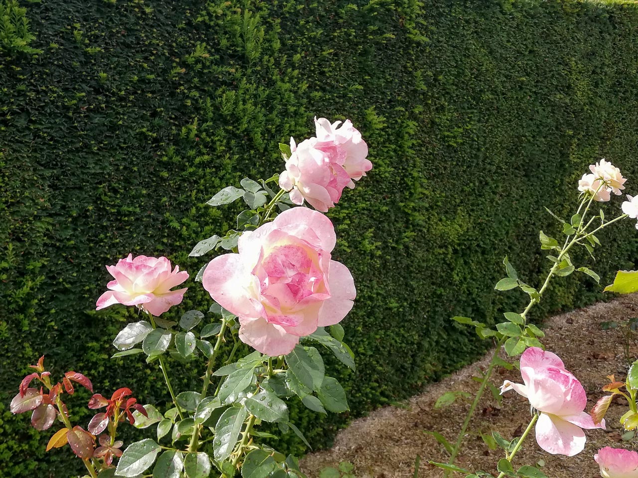 Img 20240817 113405 web