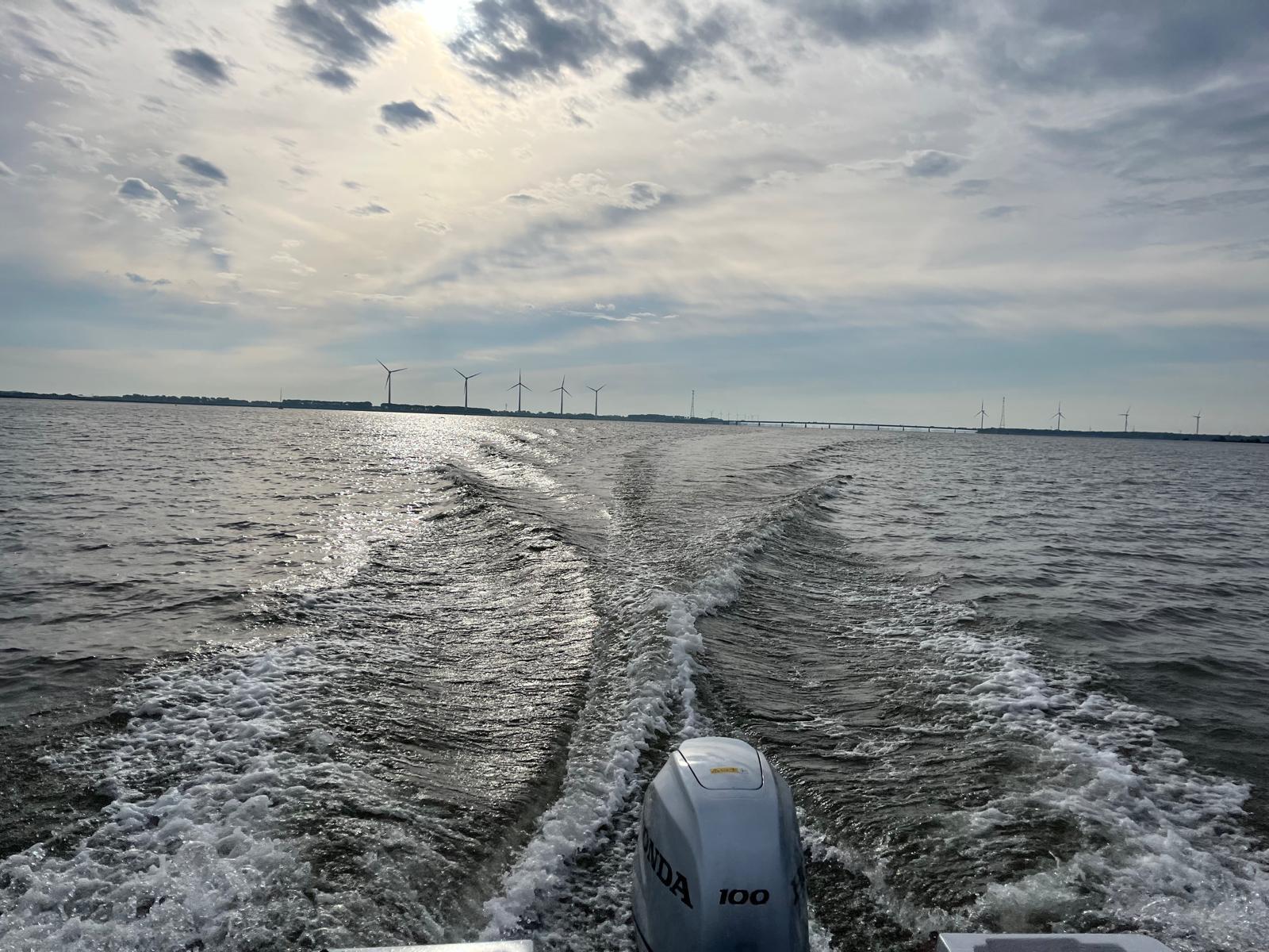 Haringvliet-photo-1-Dutch-Fishing-Connection