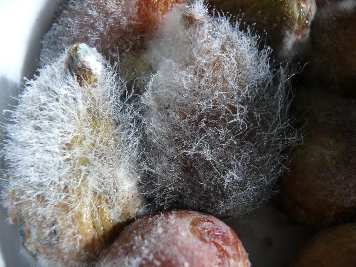 P1200392