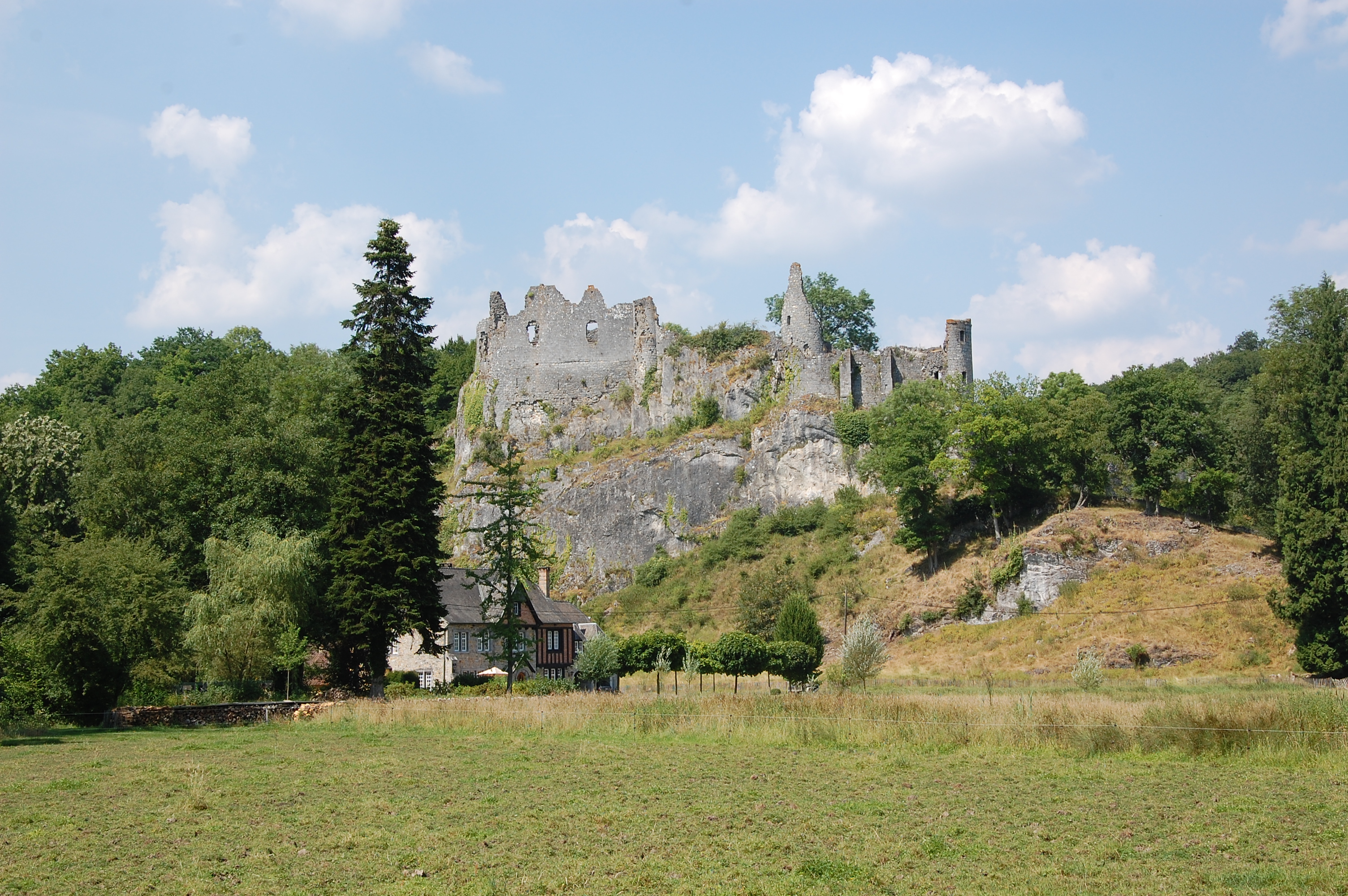 Le château de Montaigle (XIVe) dans la vallée de la Molignée.
