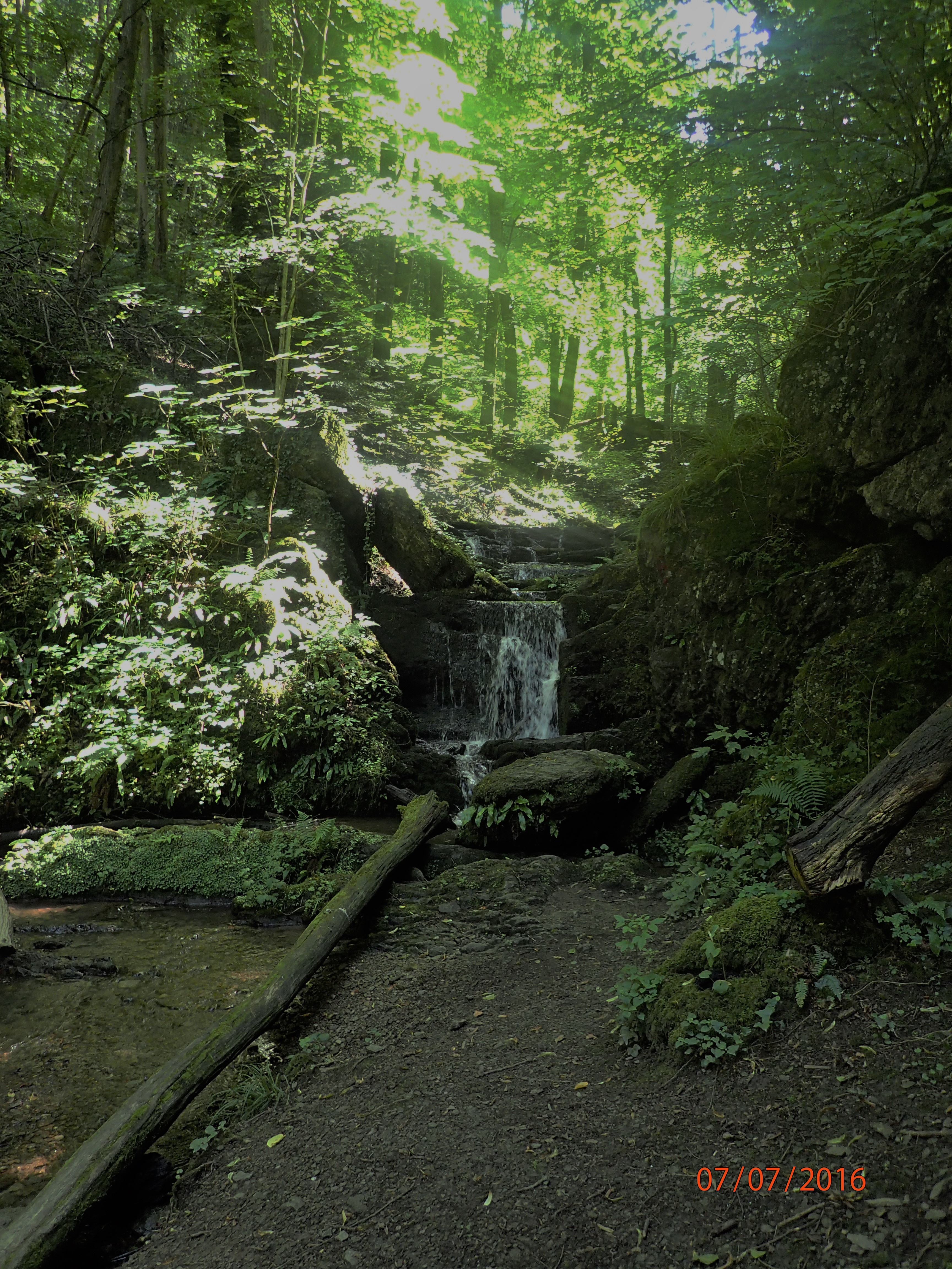 Le vallon des Cascatelles à Waulsort.
Juillet 2016