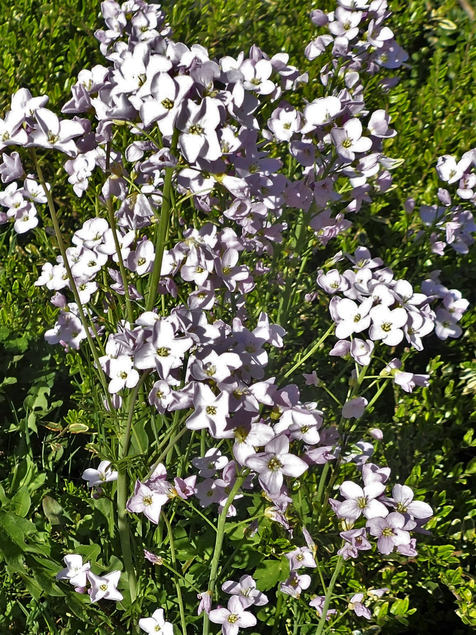 P4180129