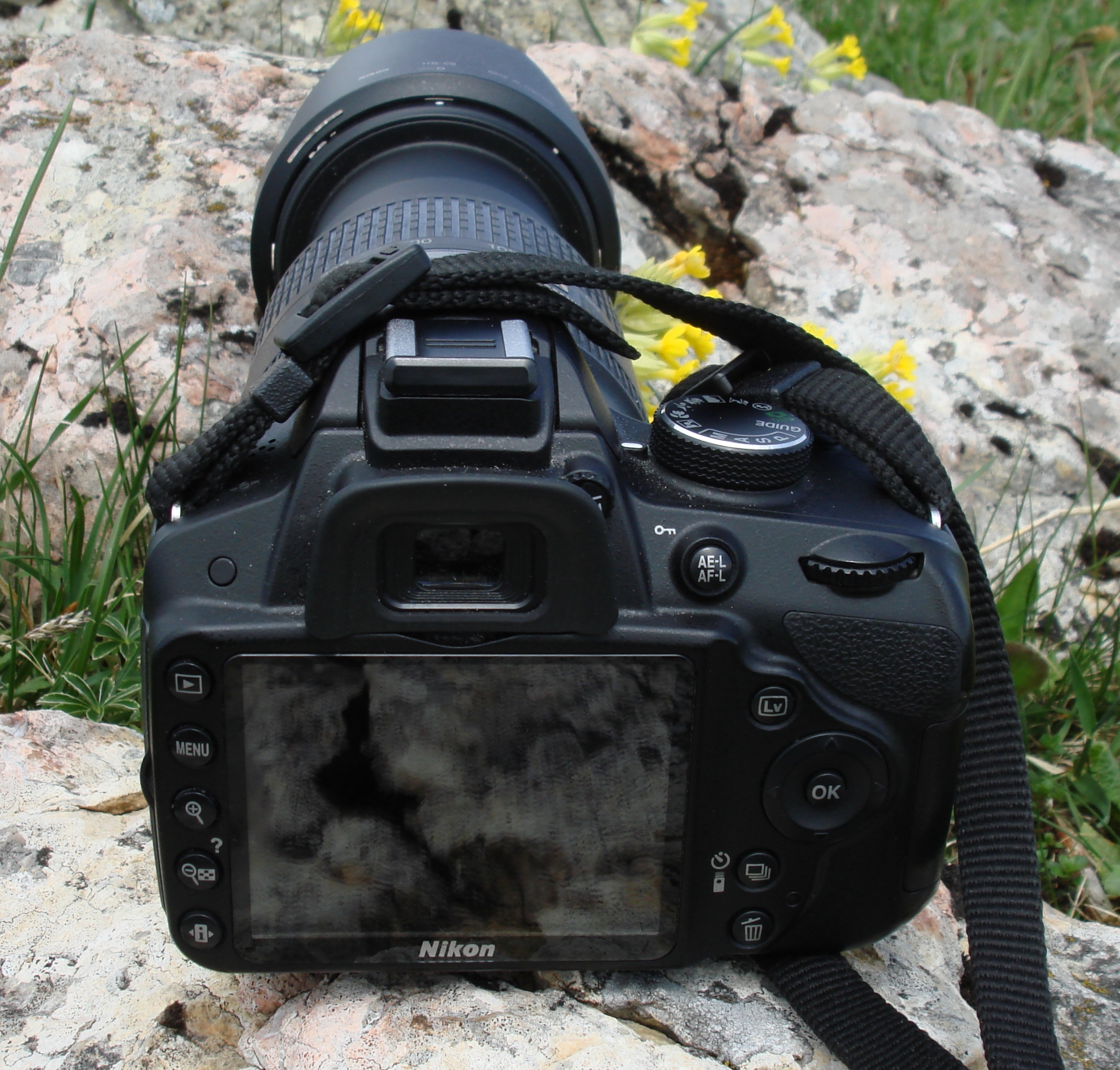 DSC03876