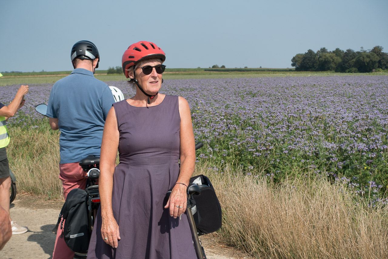 Dsc01750 web