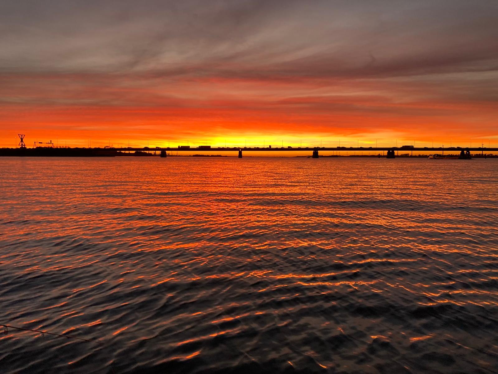 Hollands-diep-photo-3-Dutch-Fishing-Connection