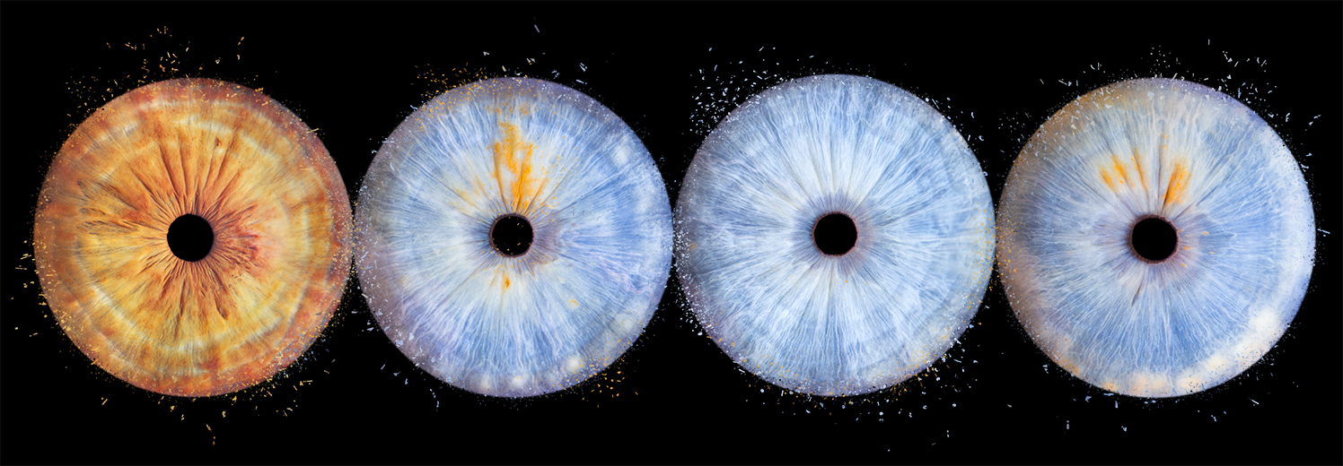 Iris-katia-xav-math-eric-e