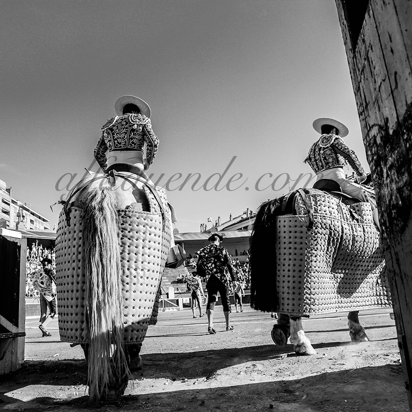 Alfaduende img 8250 copie huesca 20190813 02