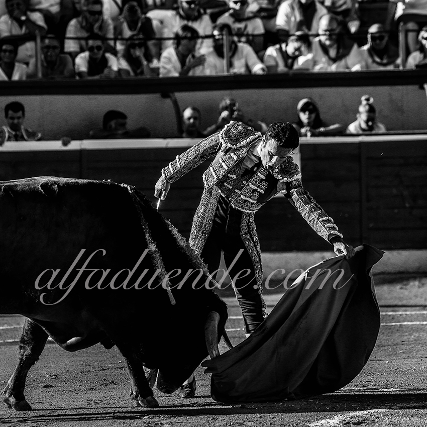 Alfaduende p58a3830 copie huesca 20190813 07