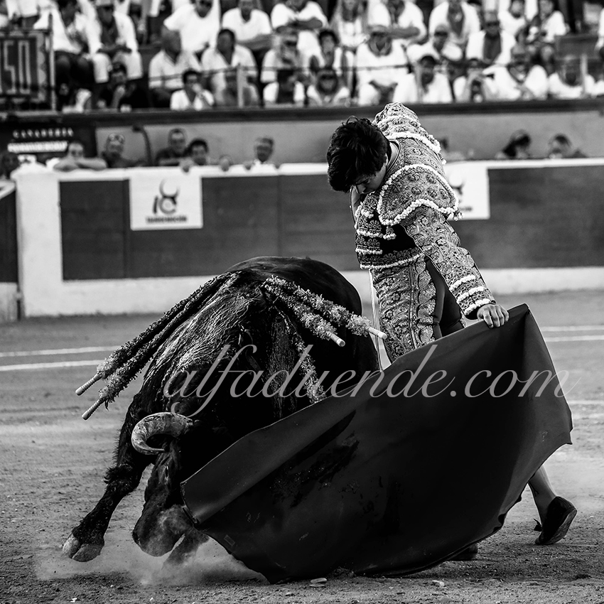 Alfaduende p58a4403 copie huesca 20190813 16