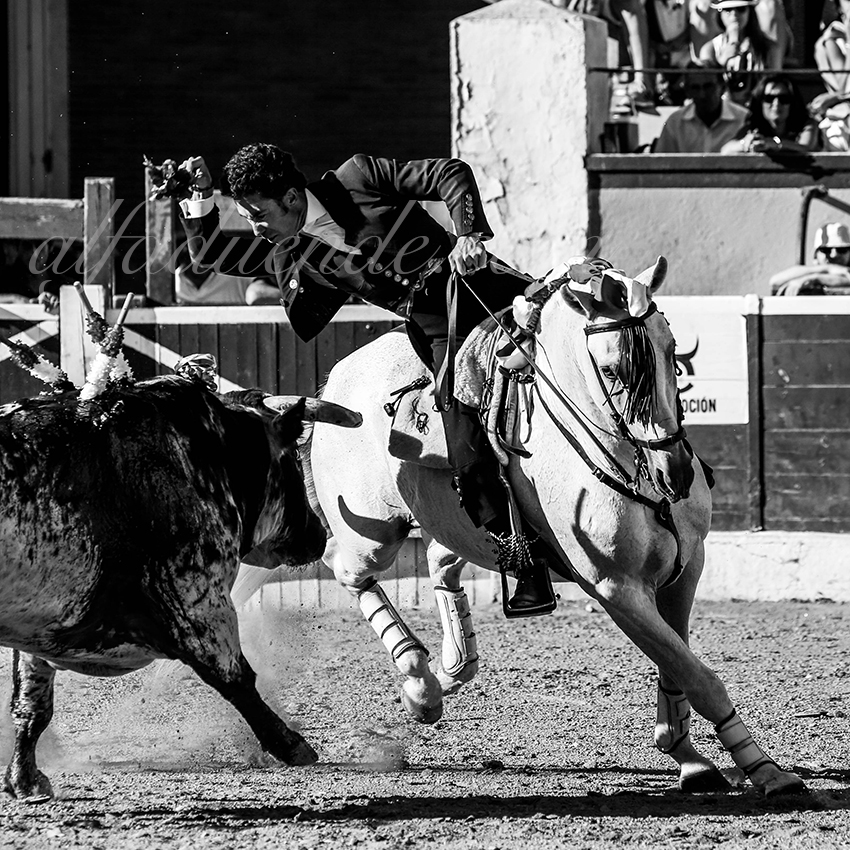 Alfaduendep58a5432 huesca 20190814 03 copie