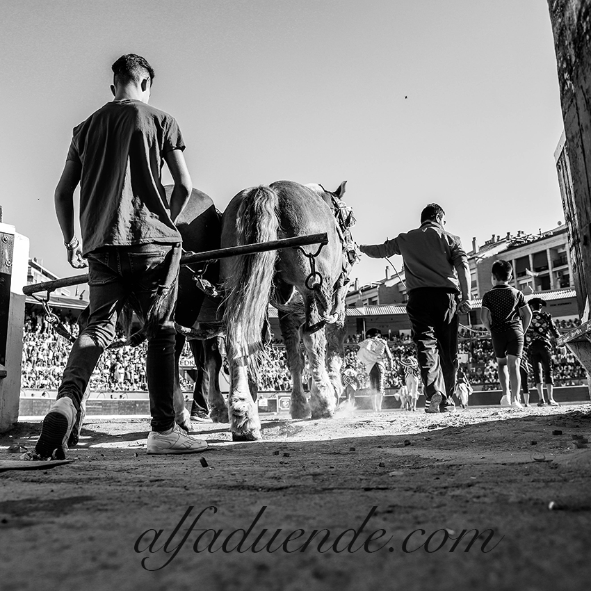 Alfaduendeimg 9492 huesca 20190814 01 copie