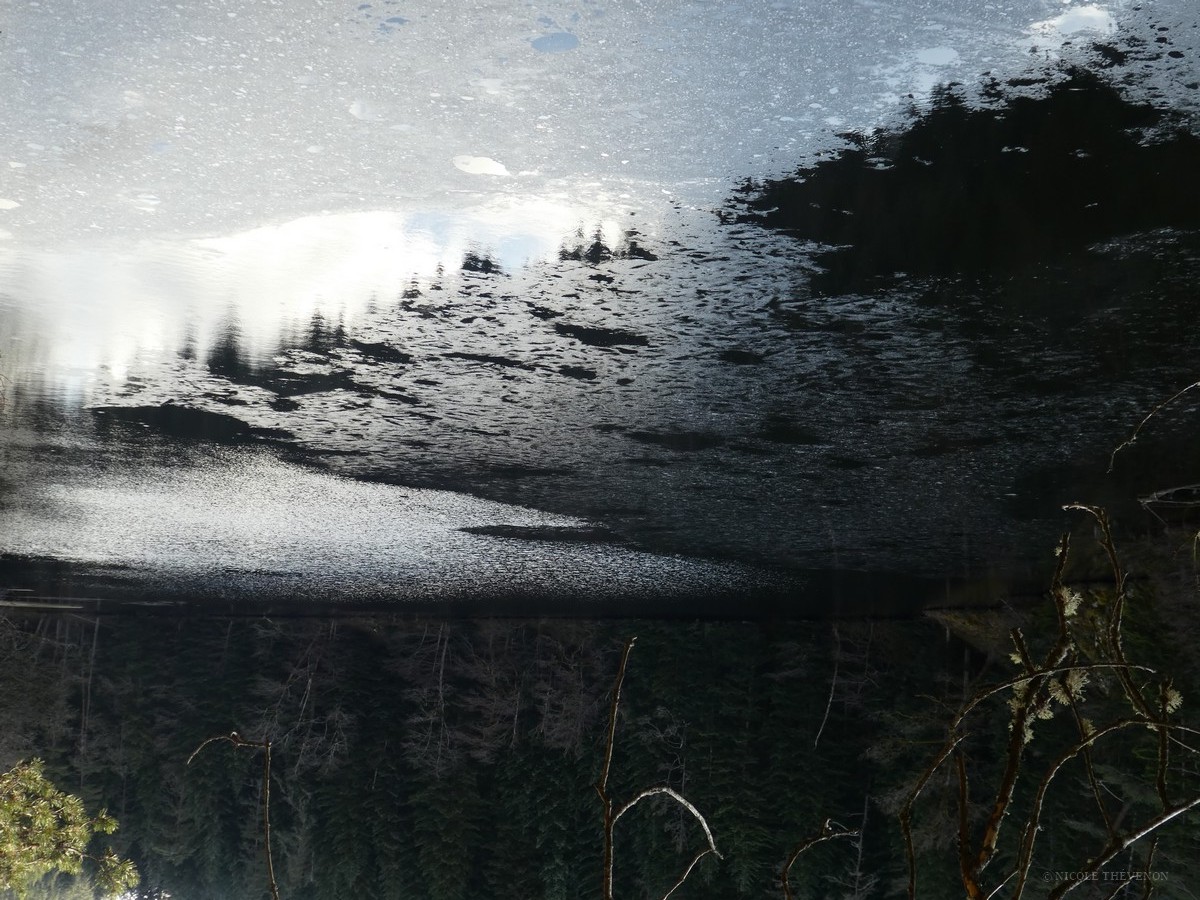 La terre vue de la terre