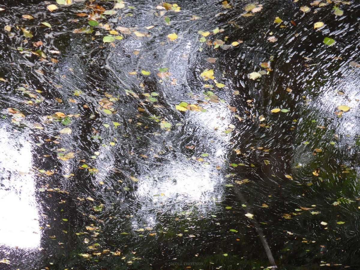 Humeur de la nature 3r