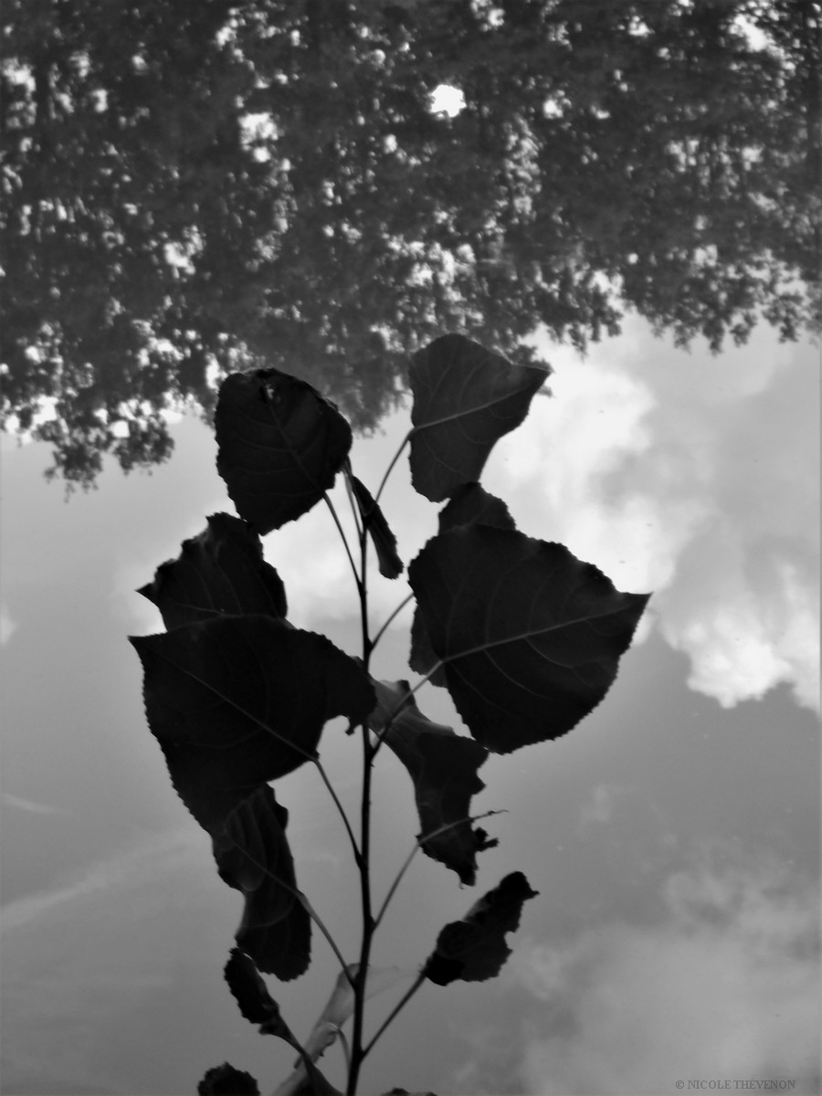 Dscn9542 2 ar