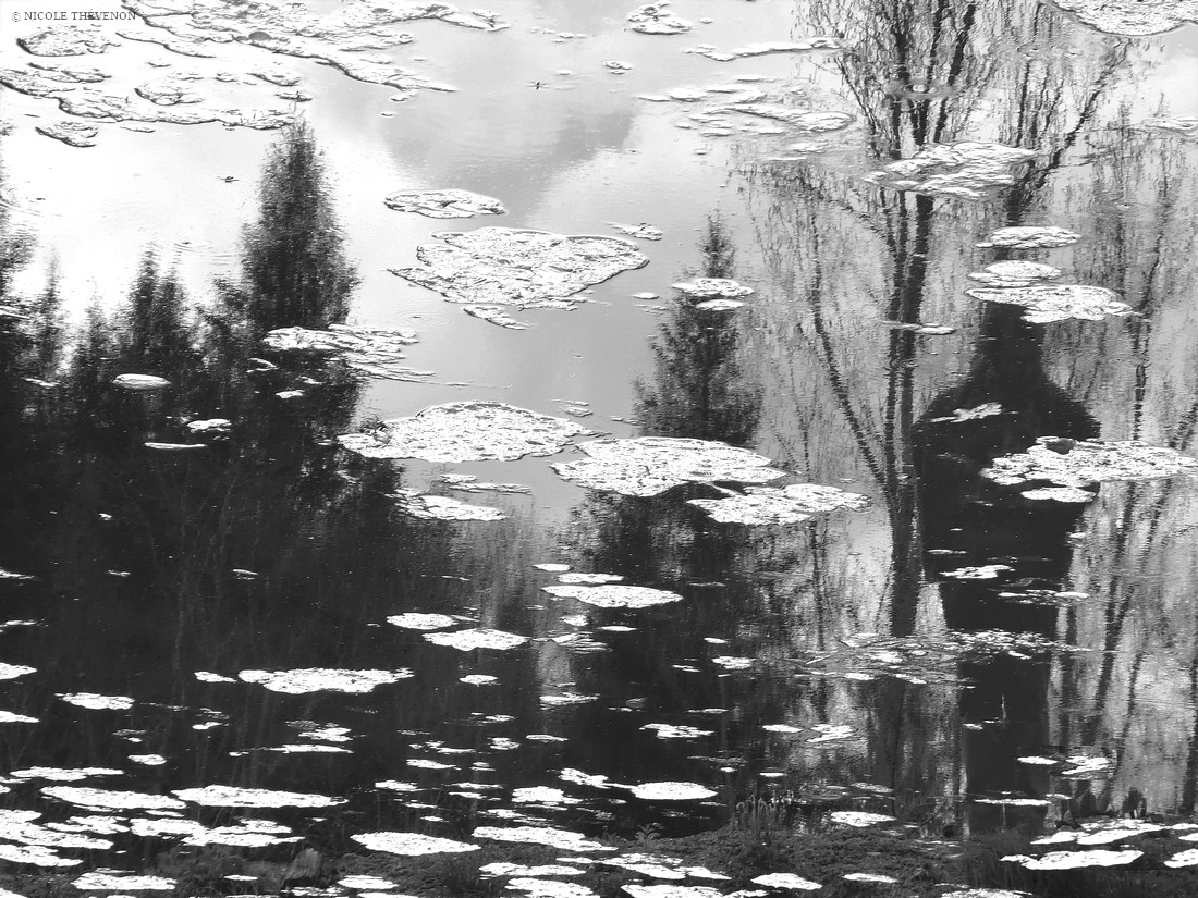 Les ombres