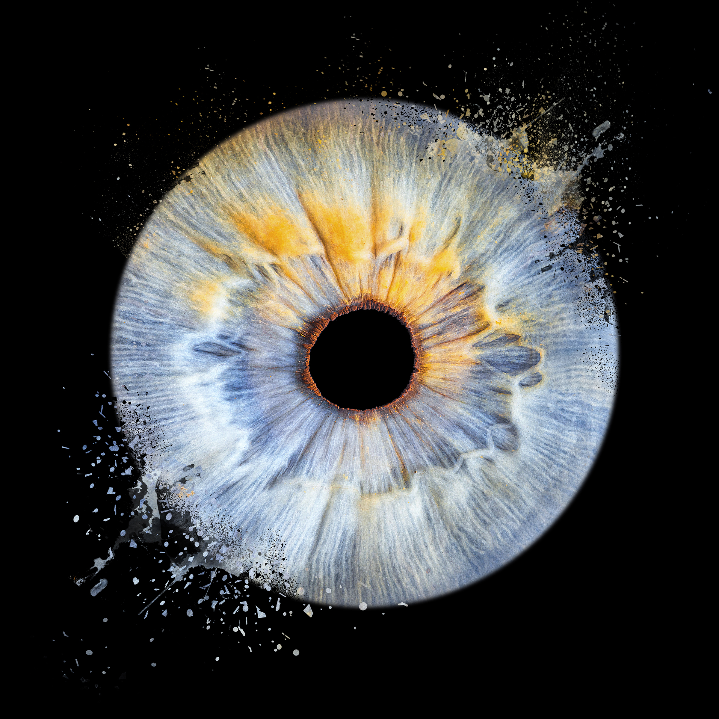 Iris-1-simple-dispersion-e