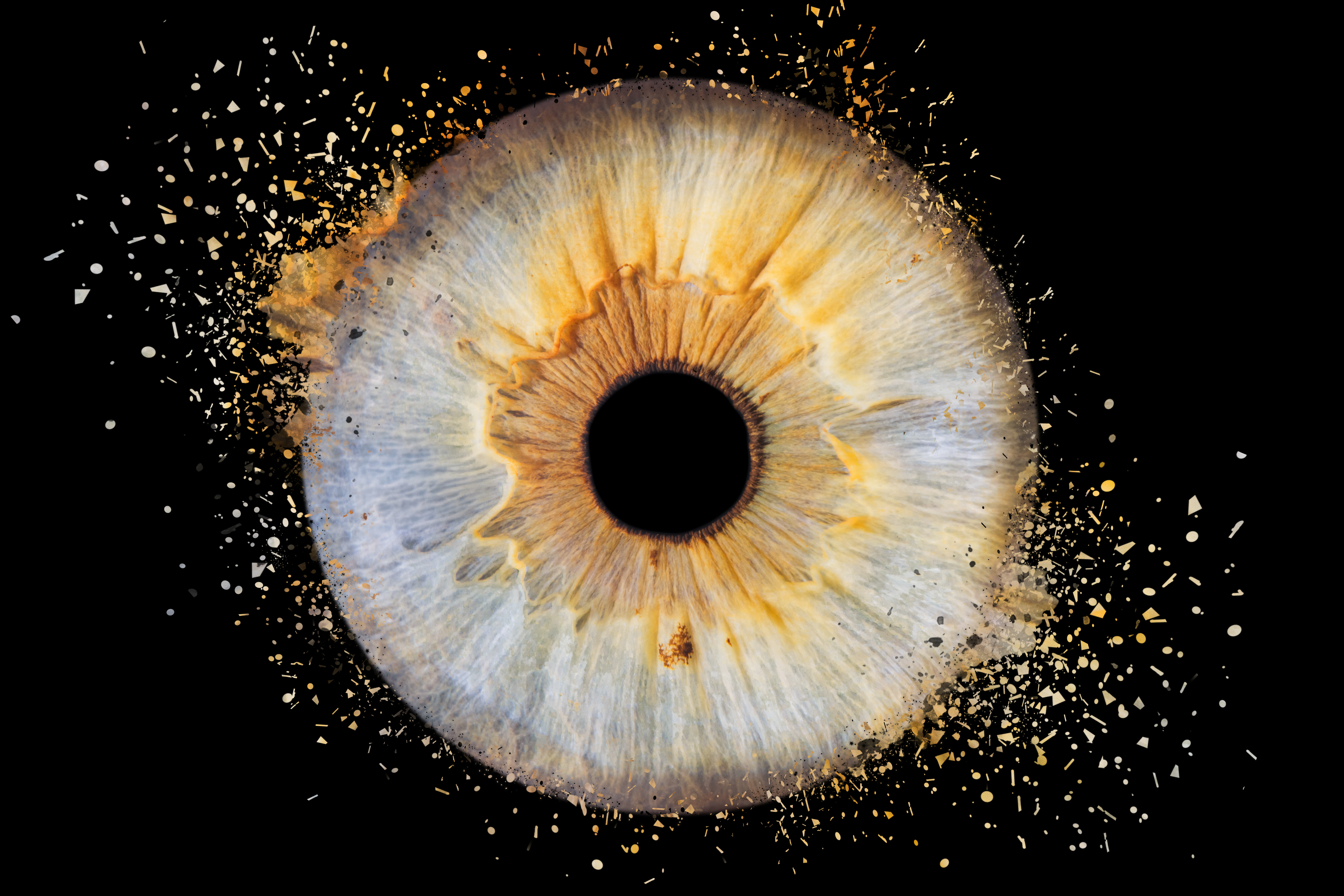 Iris-blandine-d-dispersion