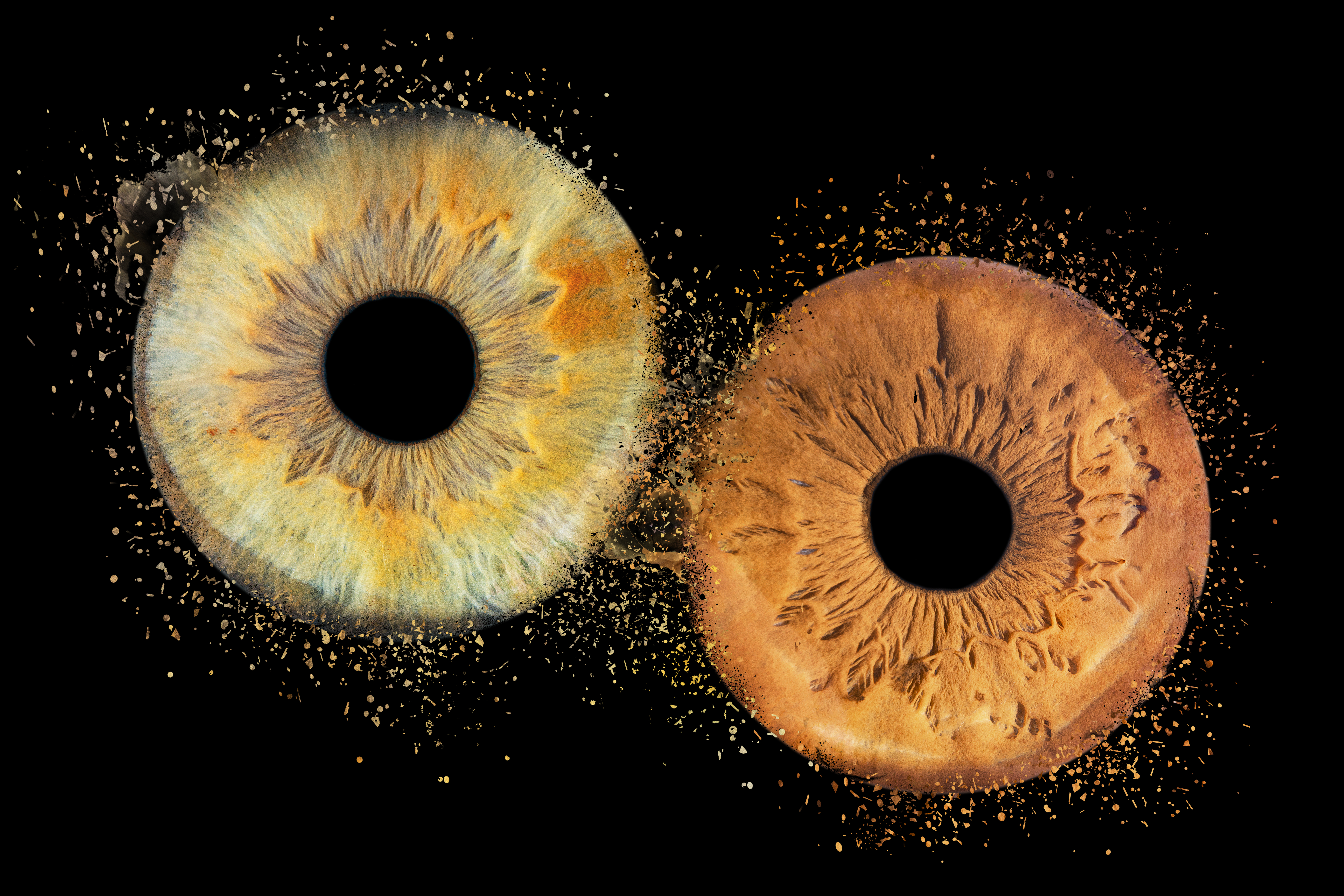 Iris-margot-d-ilias-g-dispersion