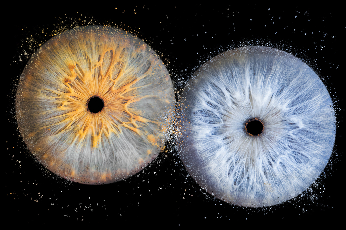 Iris-nicolas-franck-e