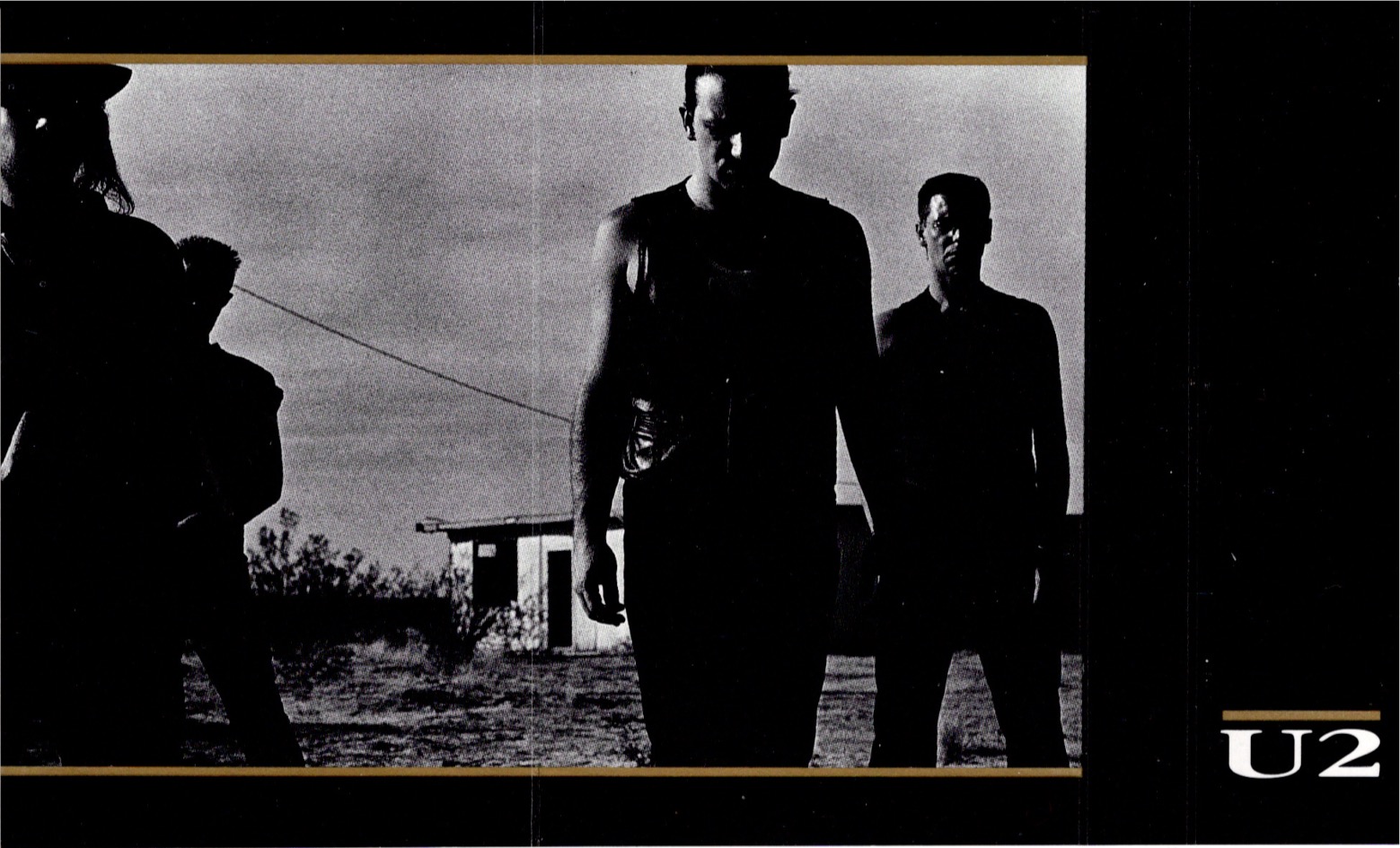 Ishfwilf uk cis 329 back 