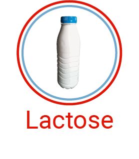 Lactose icone allergenes texte