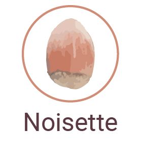 Noisette icone ingredients txt
