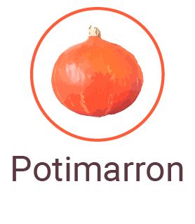 Potimarron icone ingredients txt