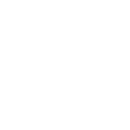 Spectacle
