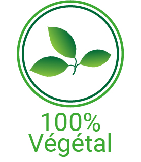 Vegetal icone sans allerg texte