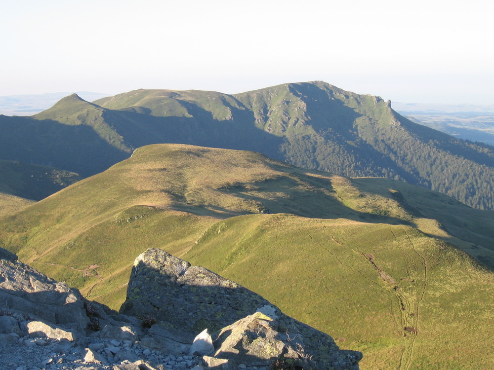 Griou 08 07 012
