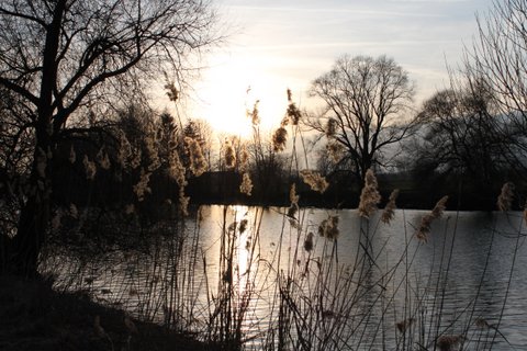 Réserve naturelle suisse / Canal de la Broye au coucher du soleil
