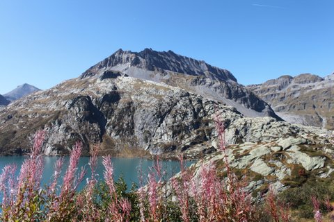 Nature généreuse et végétation luxuriante dans le site du lac d'Emosson