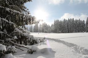 Montagnes suisses en hiver / Crêtes du Jura neuchâtelois
