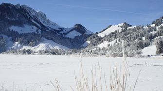 Montagnes suisses en hiver / Préalpes fribourgeoises