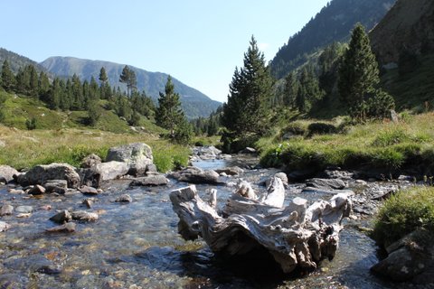 Rivière Rialb à Andorre dans les Pyrénées