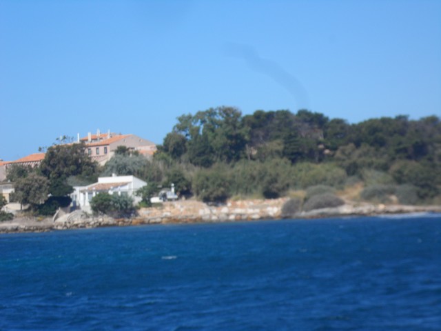 Sam 2453