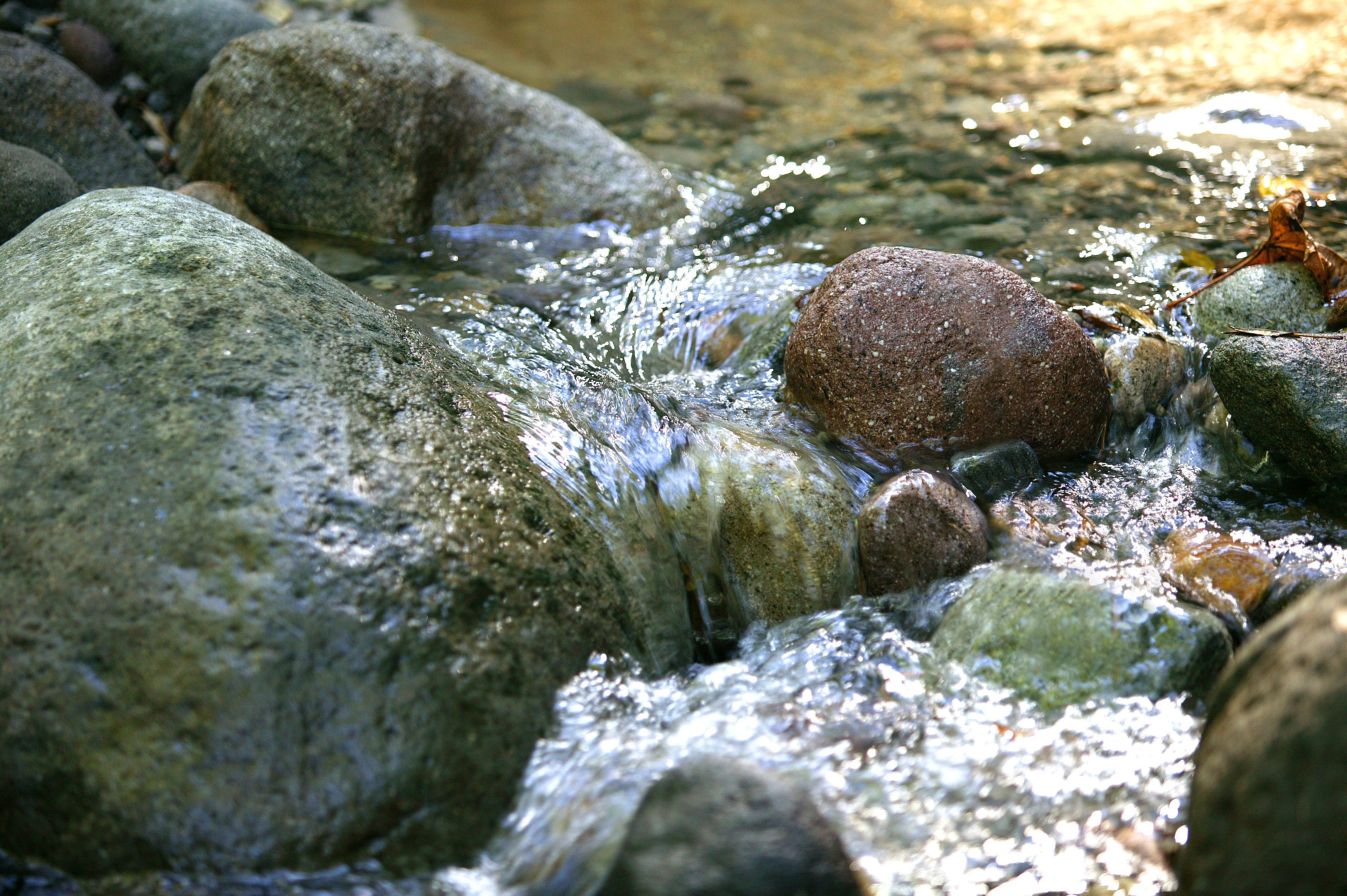Ph035 021
