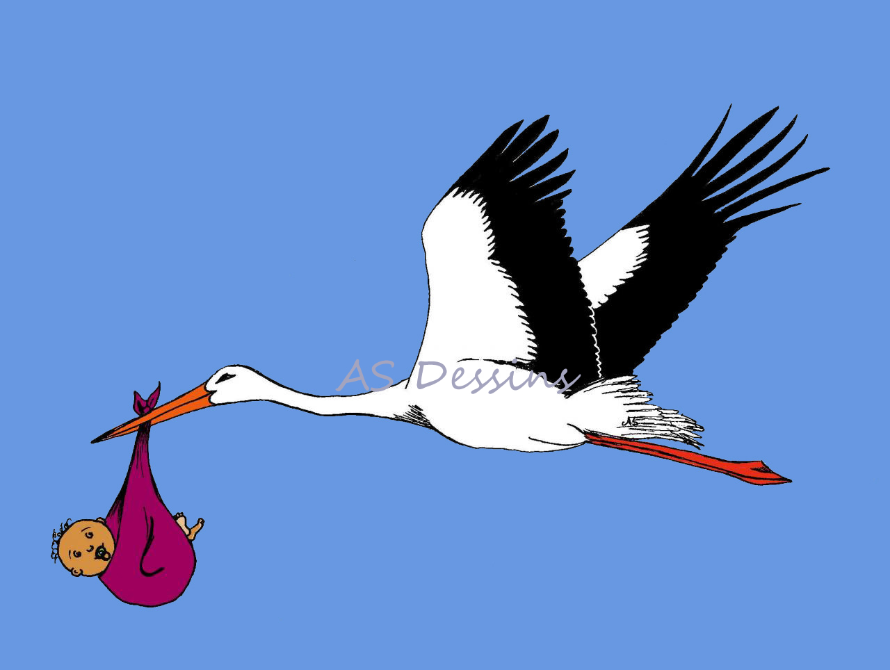 Cigogne bb metis j