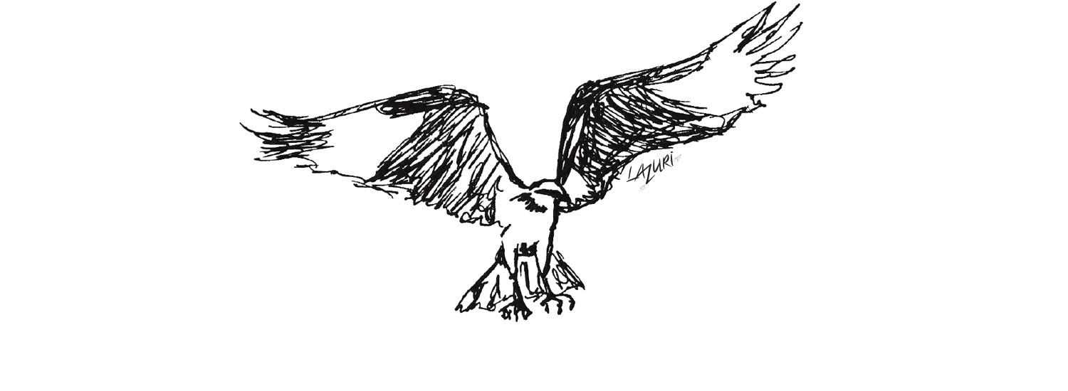 Balbuzard pecheur rapace illustration lazuri