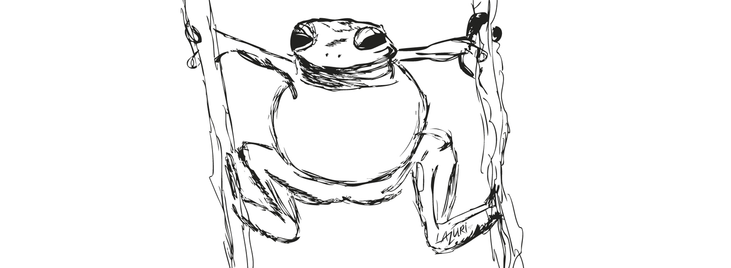 Grenouille illustration lazuri