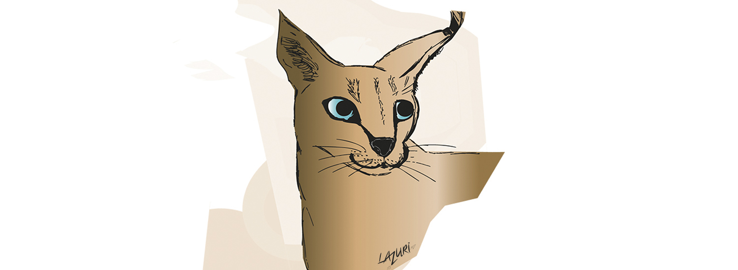 Caracal illustration lazuri