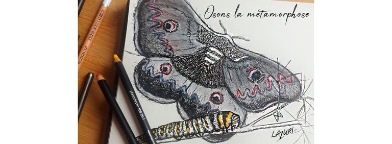 Bombyx papillon nocturne lazuri illustration