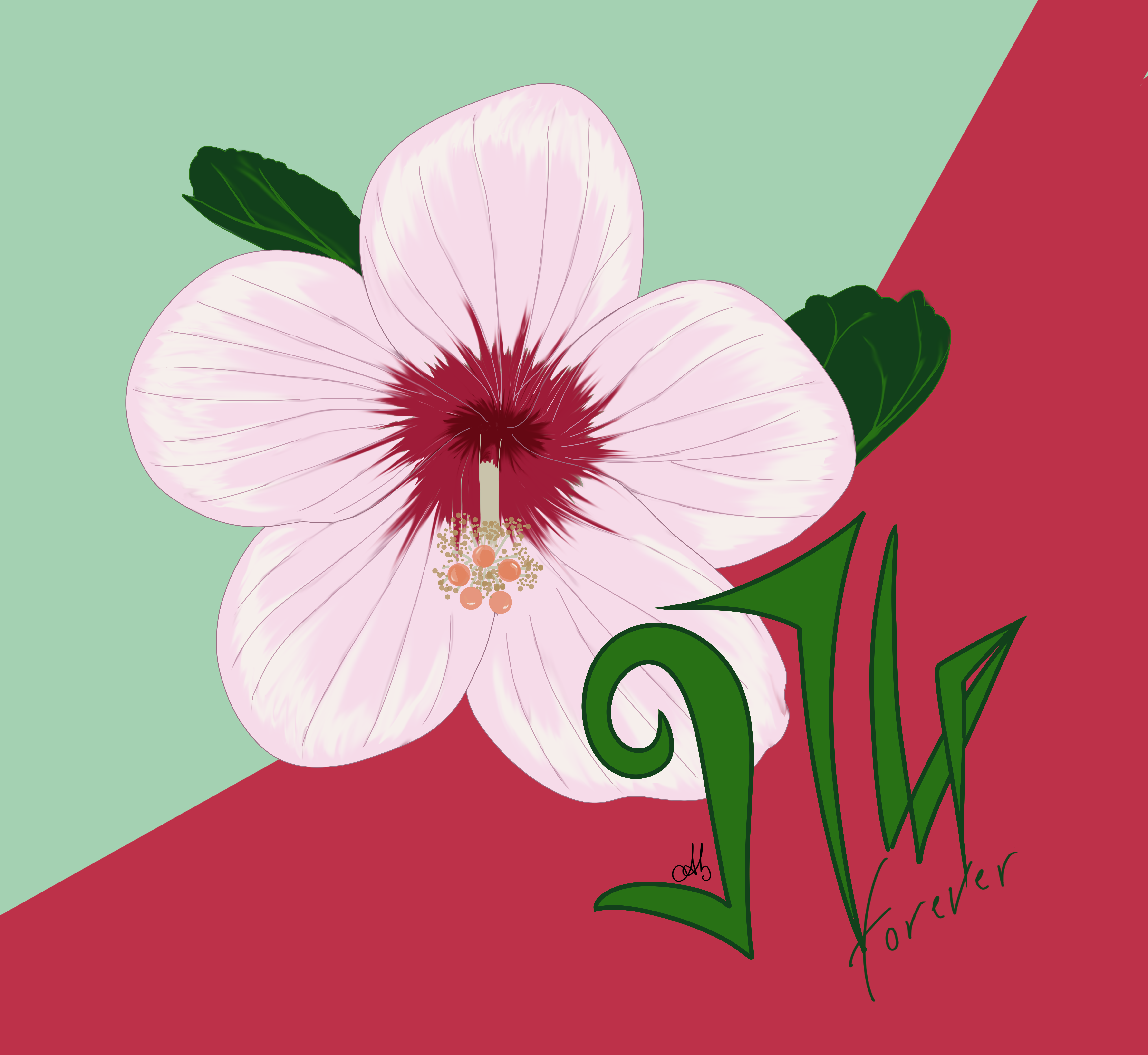 Mon île, mon hibiscus