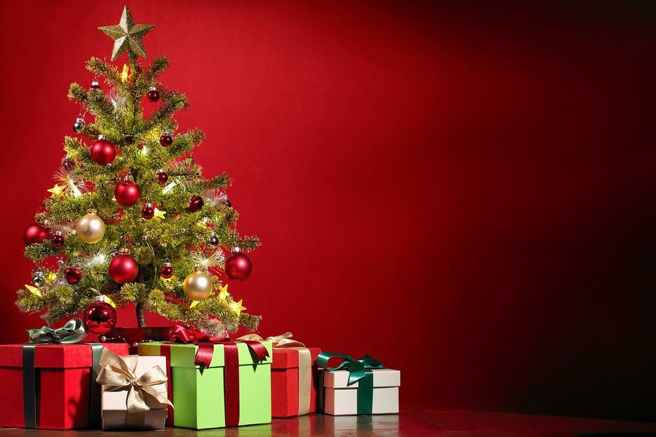 Que faire de vos sapins de Noël (en bois) une fois les fêtes terminées ? 