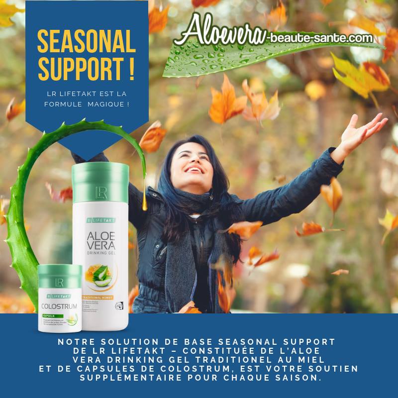 Seasonal support