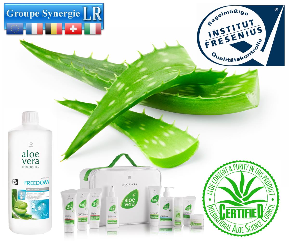 Aloe vera 