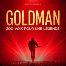 Goldman-200-voix-pour-une-l-gende-tickets 487353 3876452 222x222