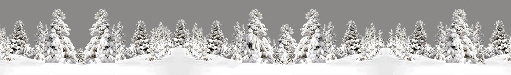 Frise basse sapins enneige