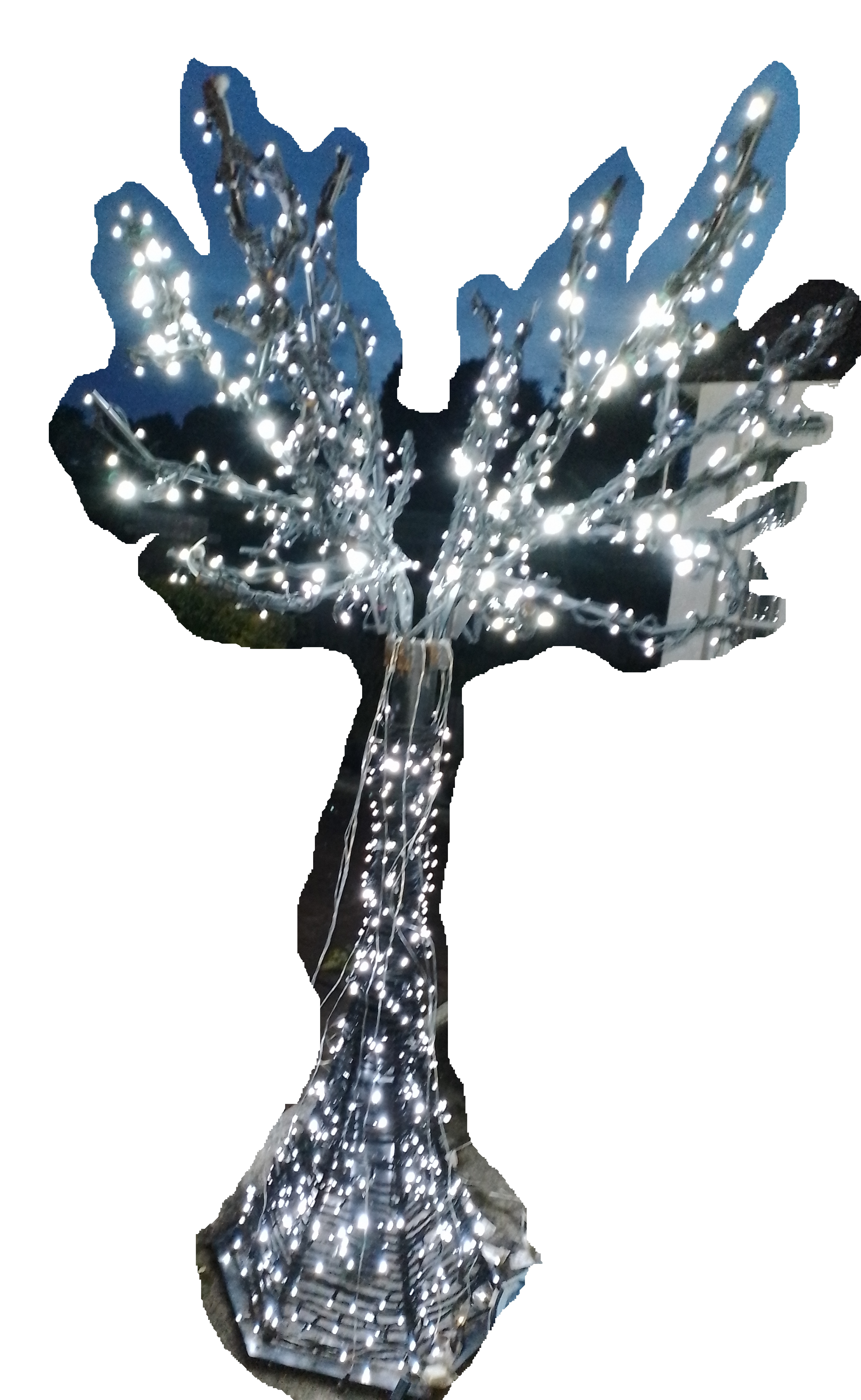 Arbre scintillant