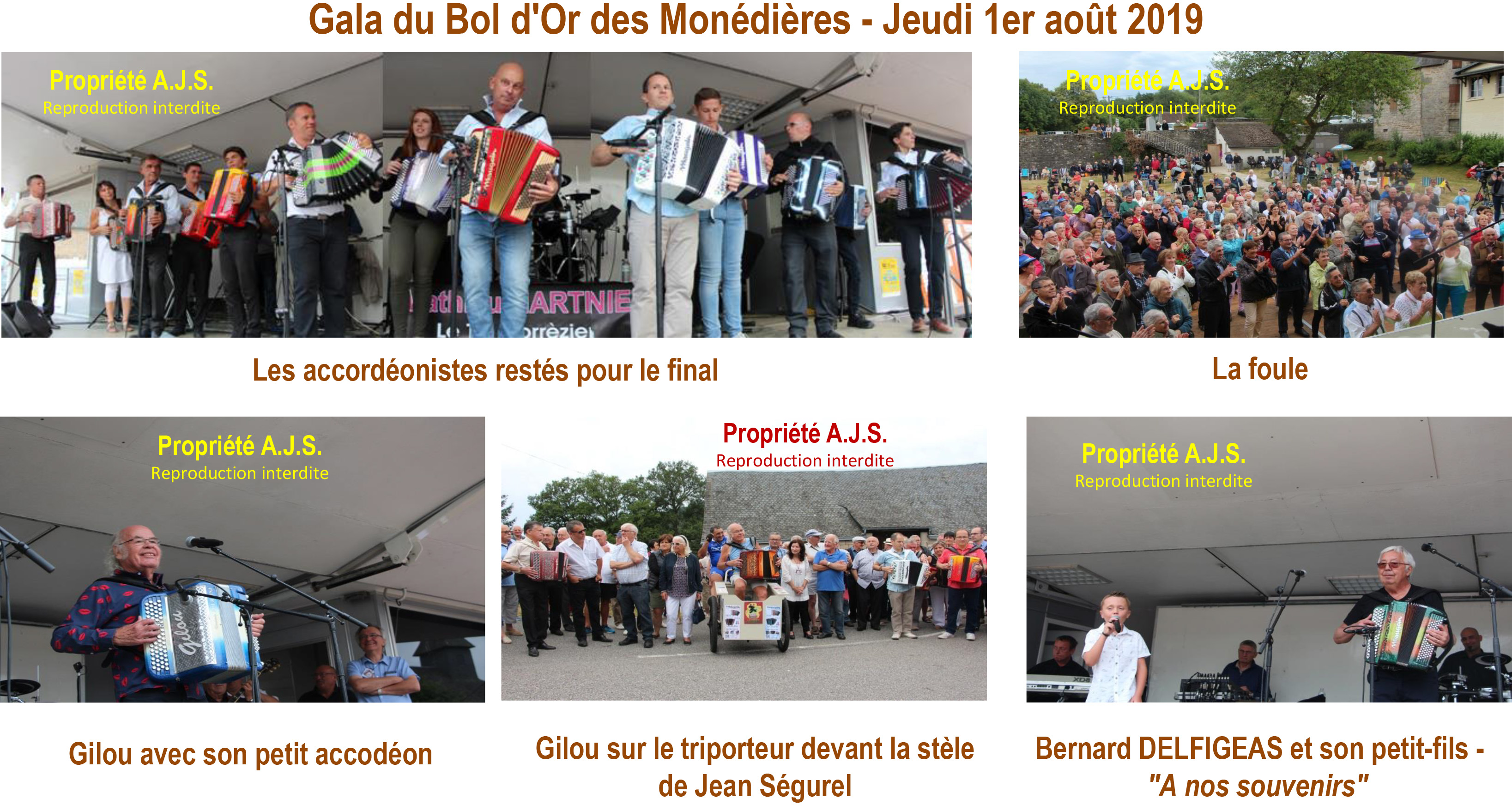 Photosit Boldor2019